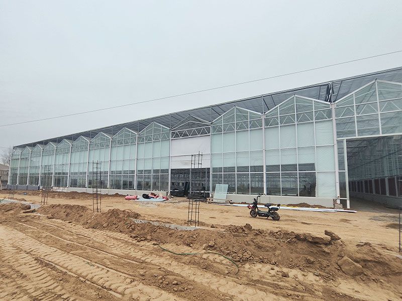 玻璃温室施工现场