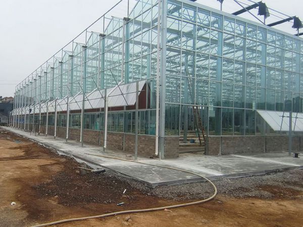 玻璃温室施工现场