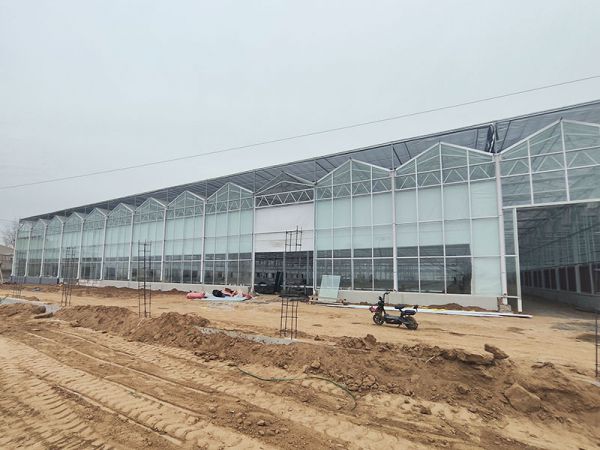 玻璃温室施工现场