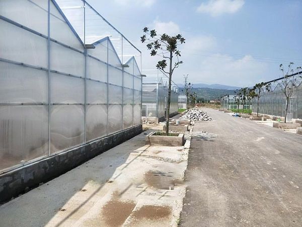 阳光板温室大棚